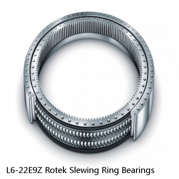 L6-22E9Z Rotek Slewing Ring Bearings