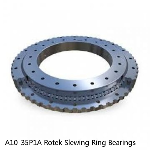 A10-35P1A Rotek Slewing Ring Bearings