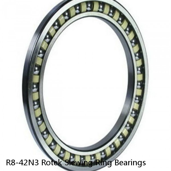 R8-42N3 Rotek Slewing Ring Bearings