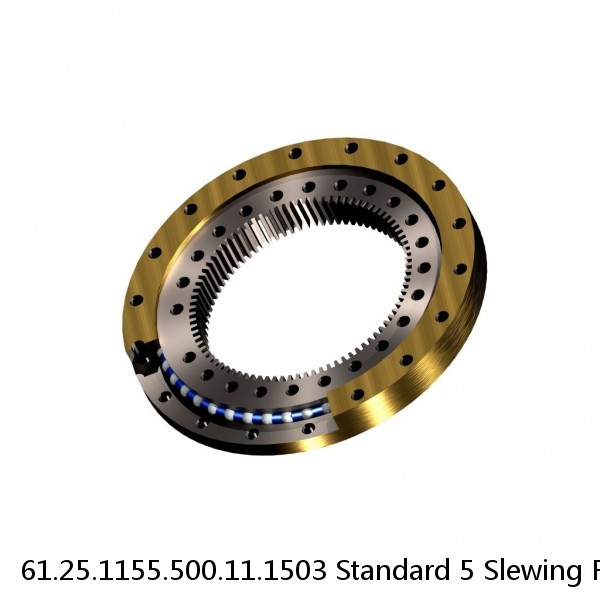 61.25.1155.500.11.1503 Standard 5 Slewing Ring Bearings