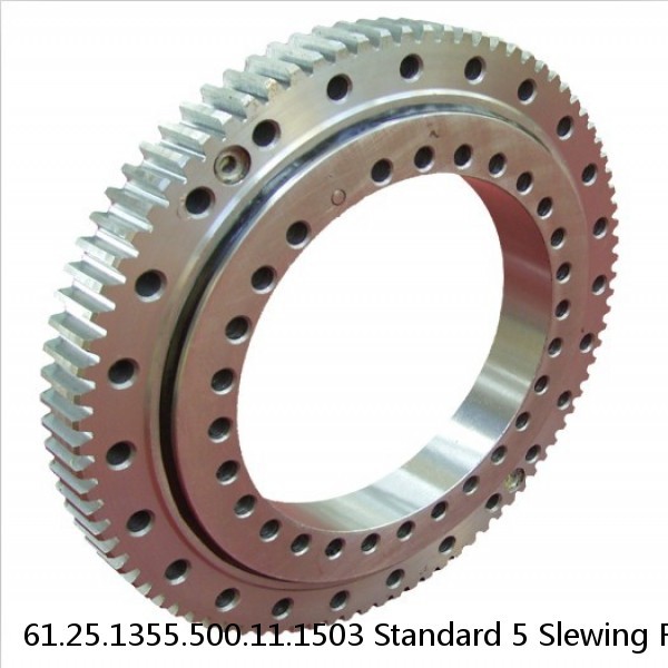 61.25.1355.500.11.1503 Standard 5 Slewing Ring Bearings