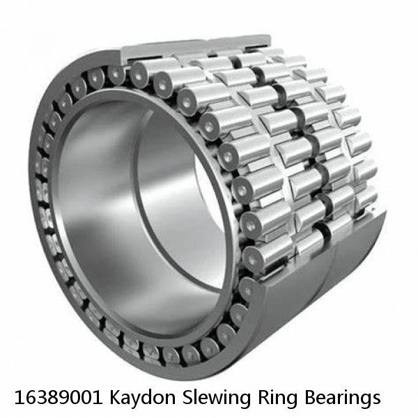 16389001 Kaydon Slewing Ring Bearings