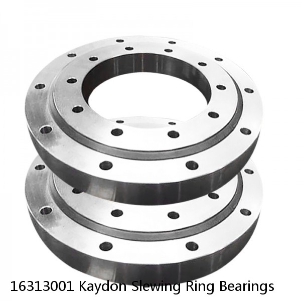 16313001 Kaydon Slewing Ring Bearings