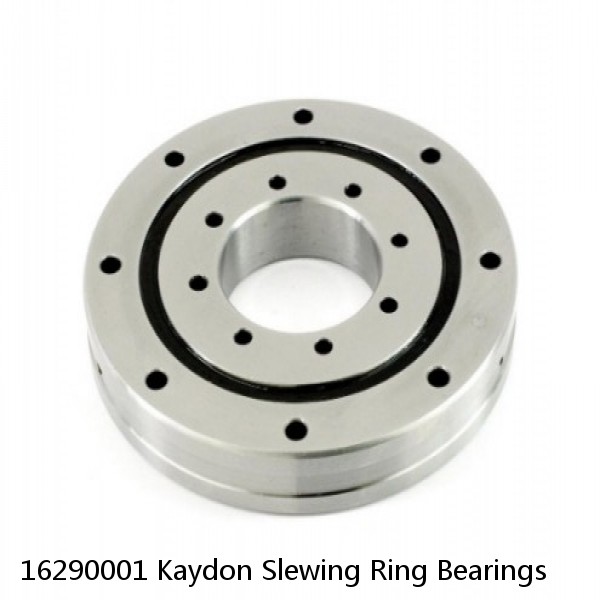 16290001 Kaydon Slewing Ring Bearings