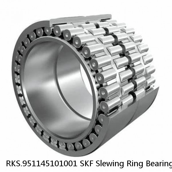 RKS.951145101001 SKF Slewing Ring Bearings