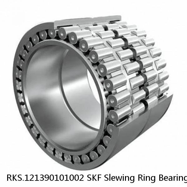 RKS.121390101002 SKF Slewing Ring Bearings