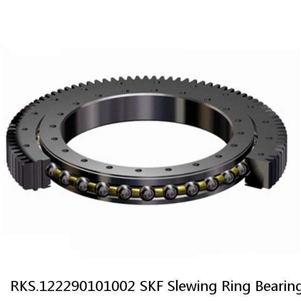 RKS.122290101002 SKF Slewing Ring Bearings