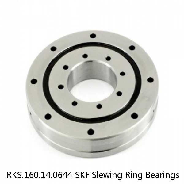 RKS.160.14.0644 SKF Slewing Ring Bearings