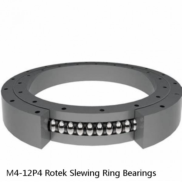 M4-12P4 Rotek Slewing Ring Bearings