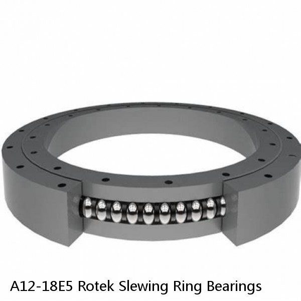 A12-18E5 Rotek Slewing Ring Bearings