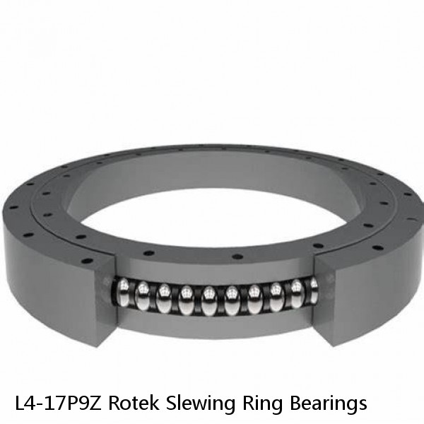 L4-17P9Z Rotek Slewing Ring Bearings