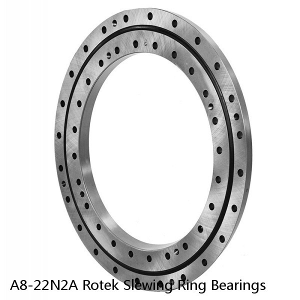 A8-22N2A Rotek Slewing Ring Bearings