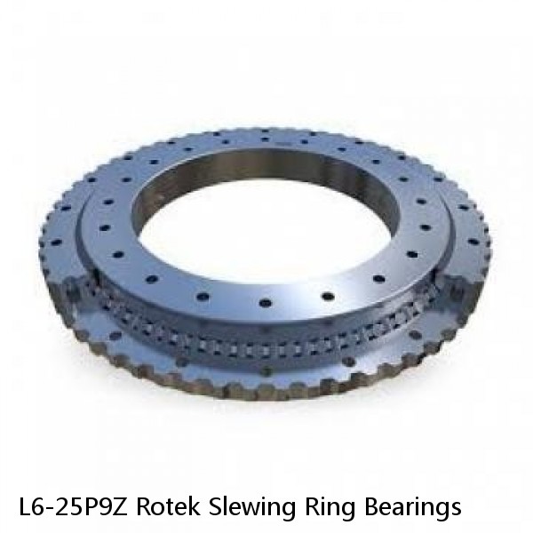 L6-25P9Z Rotek Slewing Ring Bearings