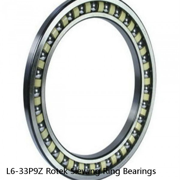 L6-33P9Z Rotek Slewing Ring Bearings