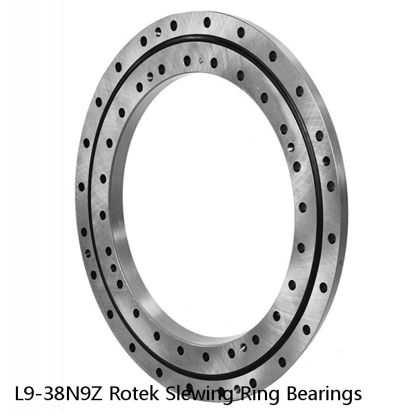 L9-38N9Z Rotek Slewing Ring Bearings