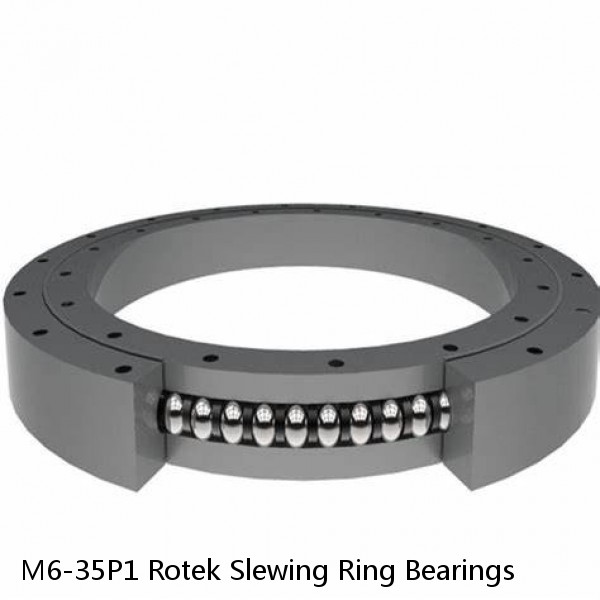 M6-35P1 Rotek Slewing Ring Bearings