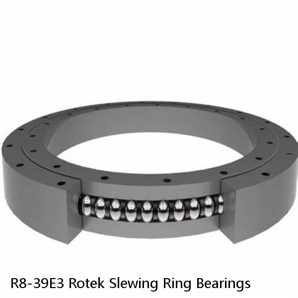 R8-39E3 Rotek Slewing Ring Bearings