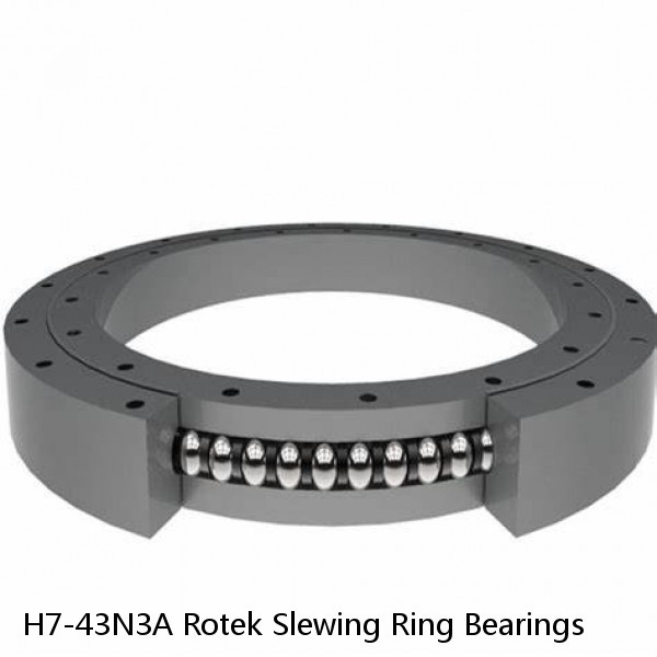 H7-43N3A Rotek Slewing Ring Bearings