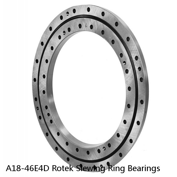 A18-46E4D Rotek Slewing Ring Bearings