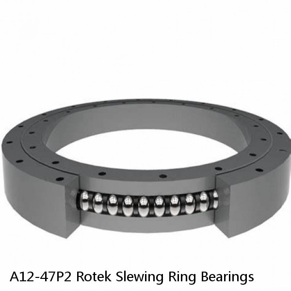 A12-47P2 Rotek Slewing Ring Bearings