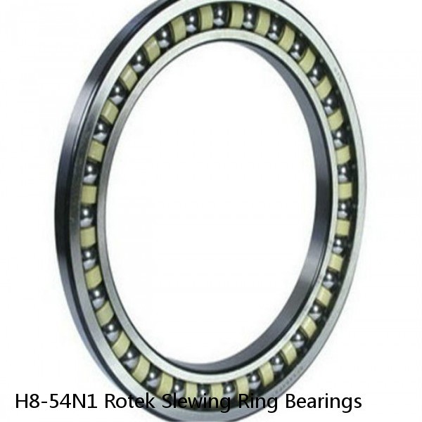 H8-54N1 Rotek Slewing Ring Bearings