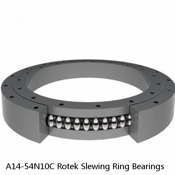 A14-54N10C Rotek Slewing Ring Bearings