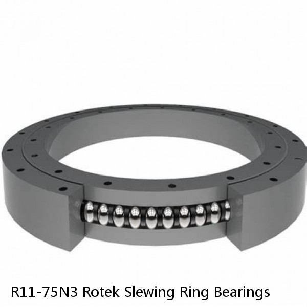 R11-75N3 Rotek Slewing Ring Bearings