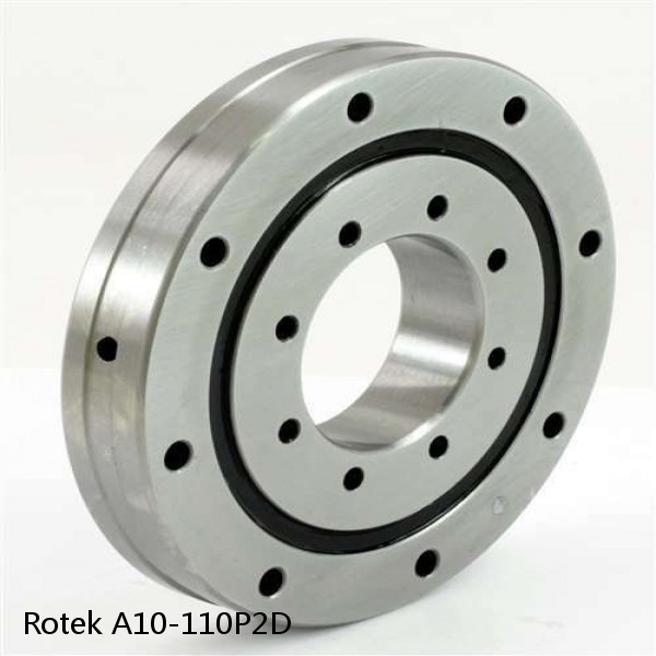 A10-110P2D Rotek Slewing Ring Bearings