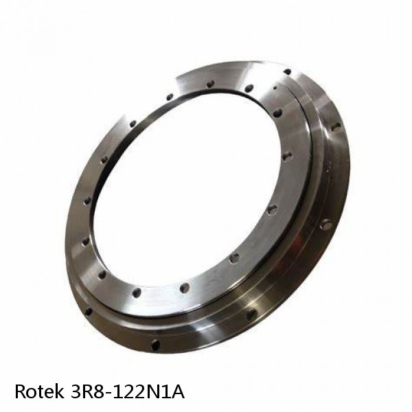 3R8-122N1A Rotek Slewing Ring Bearings