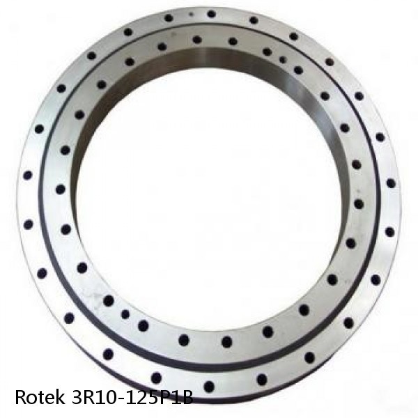 3R10-125P1B Rotek Slewing Ring Bearings