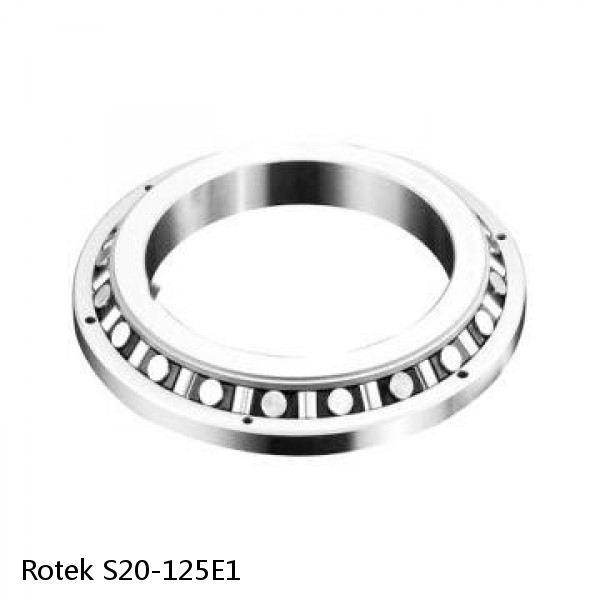 S20-125E1 Rotek Slewing Ring Bearings