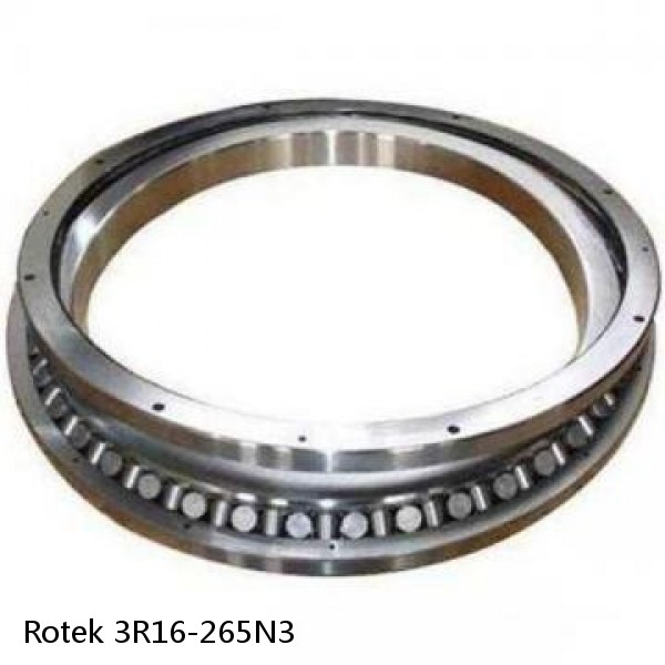 3R16-265N3 Rotek Slewing Ring Bearings