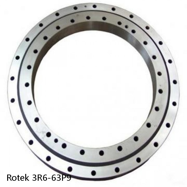 3R6-63P9 Rotek Slewing Ring Bearings