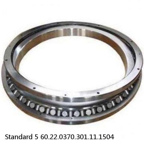 60.22.0370.301.11.1504 Standard 5 Slewing Ring Bearings