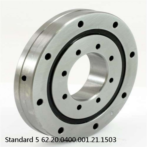 62.20.0400.001.21.1503 Standard 5 Slewing Ring Bearings