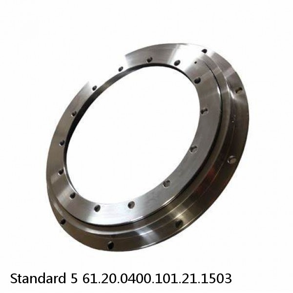 61.20.0400.101.21.1503 Standard 5 Slewing Ring Bearings