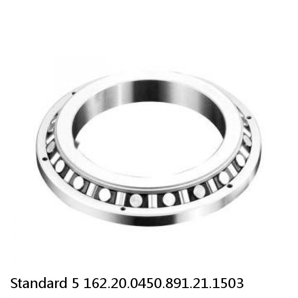 162.20.0450.891.21.1503 Standard 5 Slewing Ring Bearings