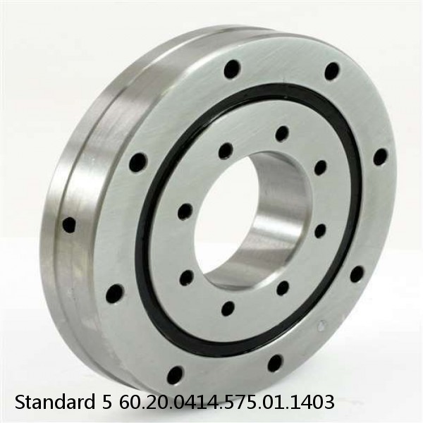 60.20.0414.575.01.1403 Standard 5 Slewing Ring Bearings