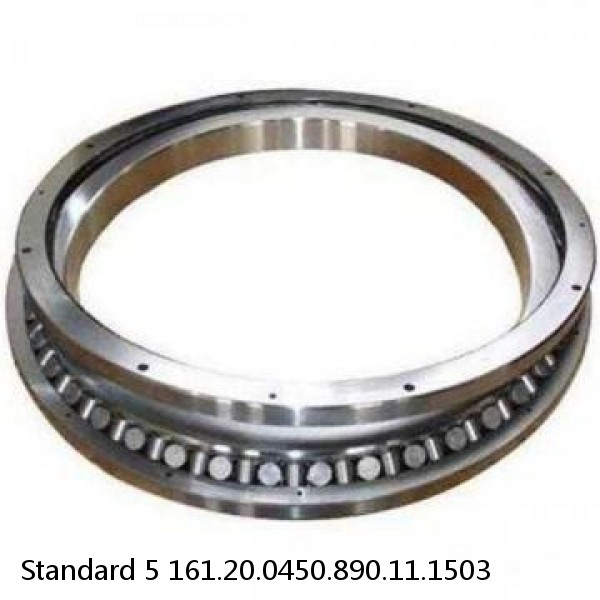 161.20.0450.890.11.1503 Standard 5 Slewing Ring Bearings