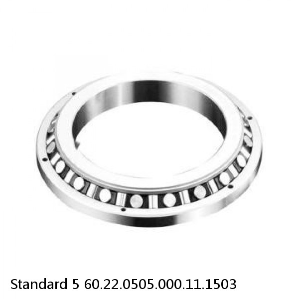 60.22.0505.000.11.1503 Standard 5 Slewing Ring Bearings