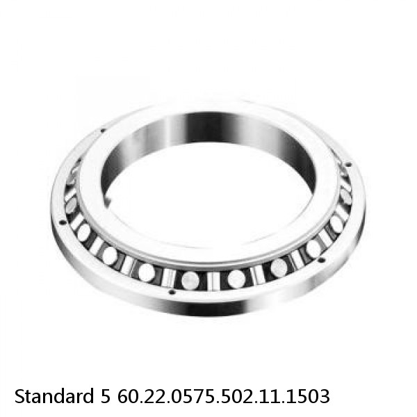 60.22.0575.502.11.1503 Standard 5 Slewing Ring Bearings