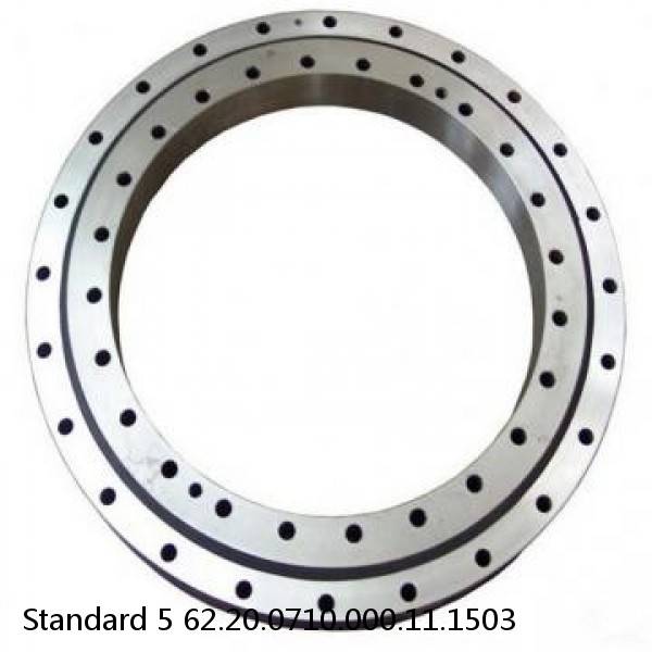 62.20.0710.000.11.1503 Standard 5 Slewing Ring Bearings