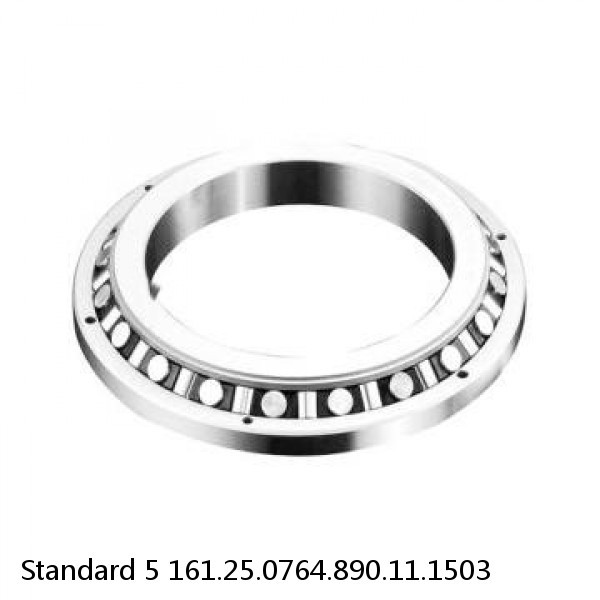 161.25.0764.890.11.1503 Standard 5 Slewing Ring Bearings