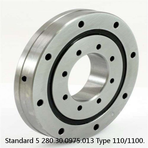 280.30.0975.013 Type 110/1100. Standard 5 Slewing Ring Bearings