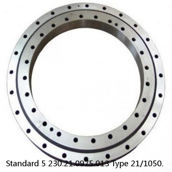 230.21.0975.013 Type 21/1050. Standard 5 Slewing Ring Bearings