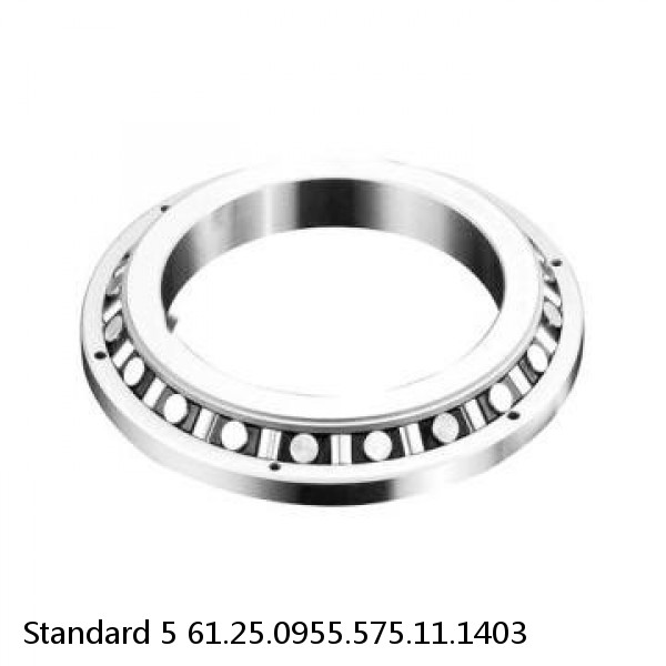 61.25.0955.575.11.1403 Standard 5 Slewing Ring Bearings