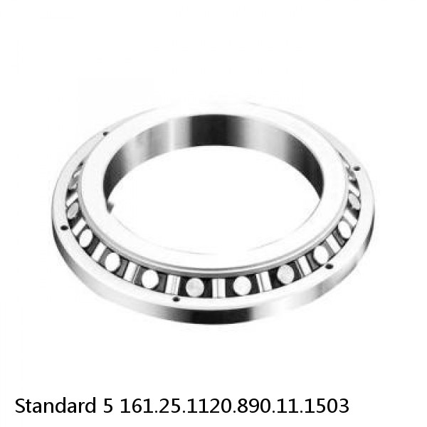 161.25.1120.890.11.1503 Standard 5 Slewing Ring Bearings