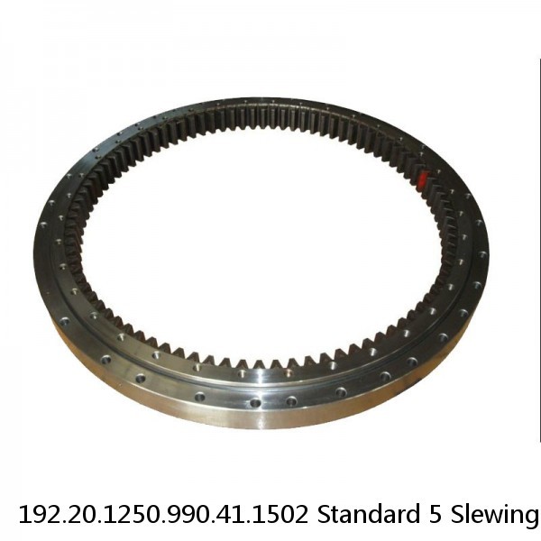 192.20.1250.990.41.1502 Standard 5 Slewing Ring Bearings