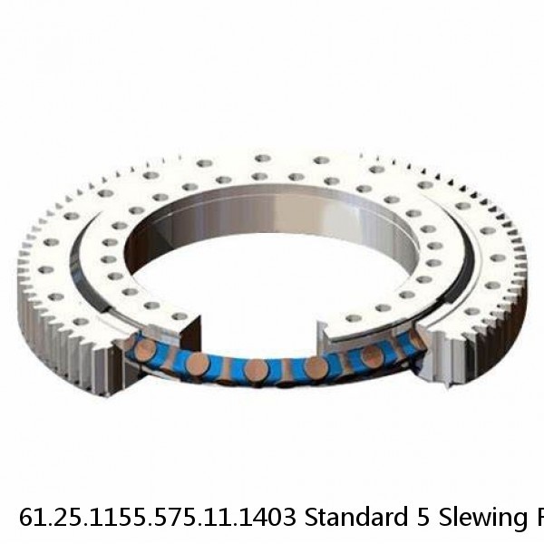 61.25.1155.575.11.1403 Standard 5 Slewing Ring Bearings