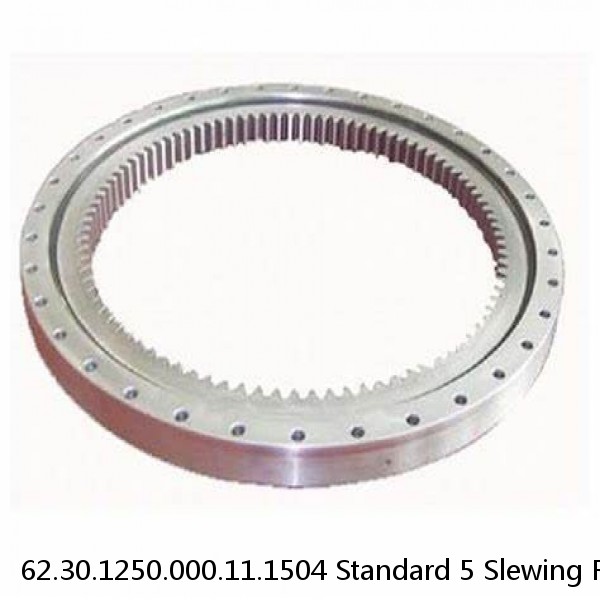 62.30.1250.000.11.1504 Standard 5 Slewing Ring Bearings